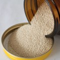 All You Need to Know About Yeast for Home Brewing